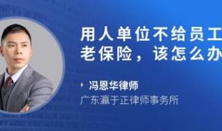 养老保险交多少钱 养老保险交多少钱